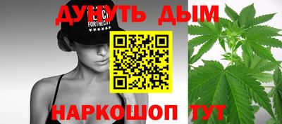 бошки Кингисепп