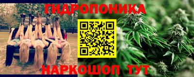 спайс Кинель