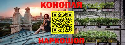 спайс Кинель
