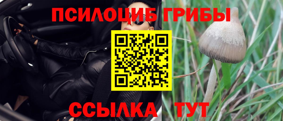 Галлюциногенные грибы мицелий Шадринск