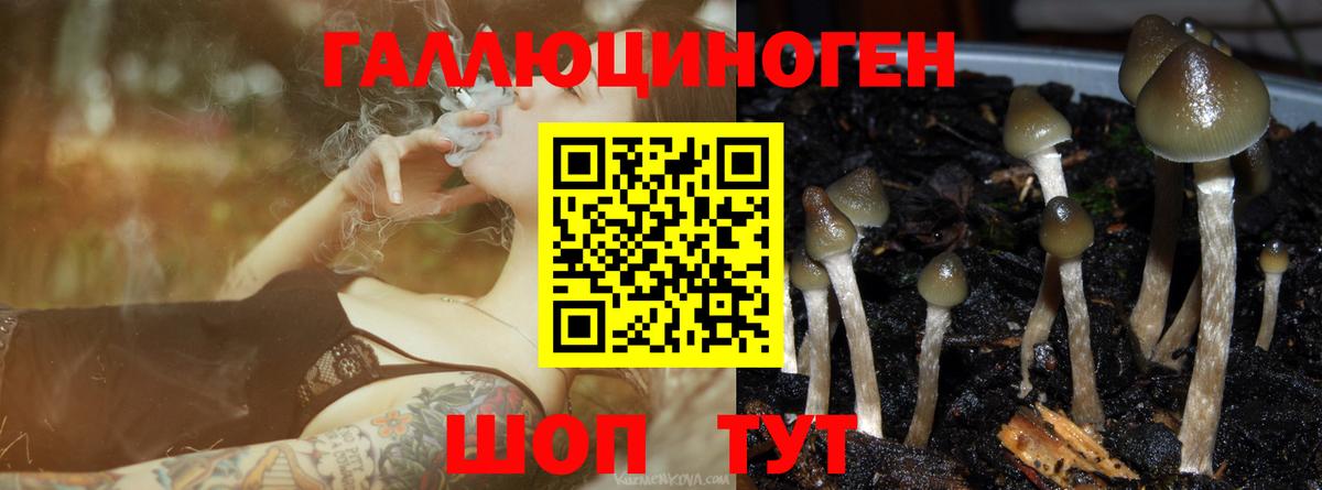 Псилоцибиновые грибы Cubensis  Псилоцибиновые грибы Magic Shrooms  Вход с VPN  Шадринск 